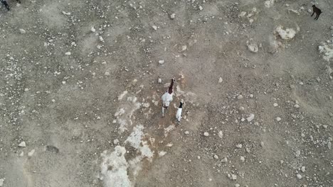 Bird's-eye-view-looking-down-on-goats-navigating-a-rocky-terrain-in-the-wild