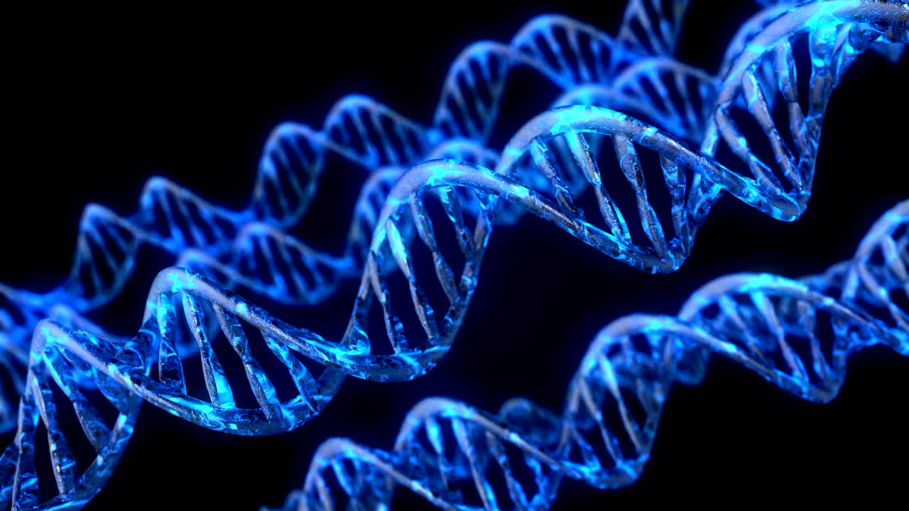 código de adn. abstracto 3d marco de alambre poligonal dna molécula hélice en espiral. animación en bucle.