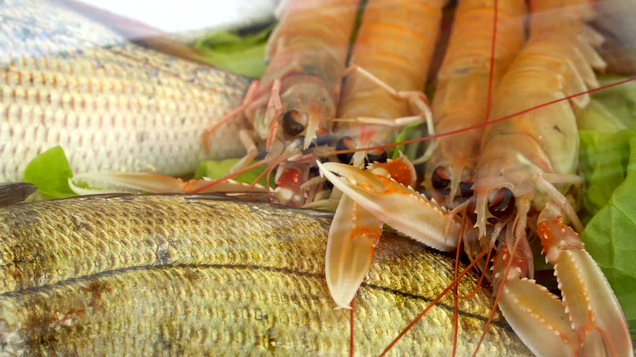 시장에서 얼음 위에 줄지어 있는 해산물, 상점 - 바다 물고기, 새우, 오징어, 크레이피시, 채소로 조리된 해산물.