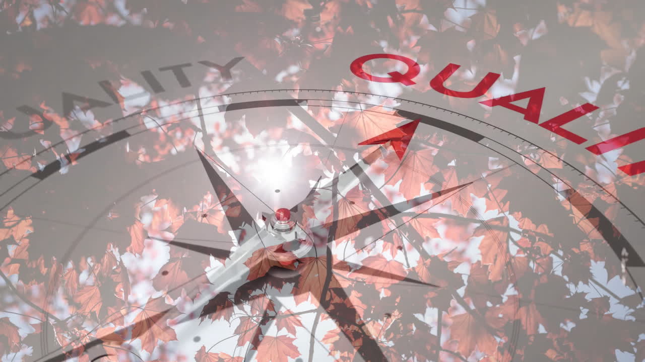 나무 위에 동기 부여 및 비즈니스 텍스트와 함께 나침반 회전의 애니메이션