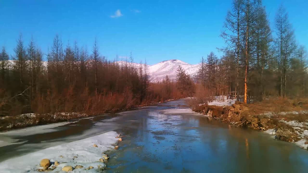 volando sobre un río congelado y un bosque gris en la soleada yakutia en un dron 4k