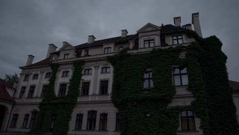 dark green ivy climbing up the facade of an ancient building in prague, czech republic, creating a mysterious and evocative atmosphere under the gray evening sky