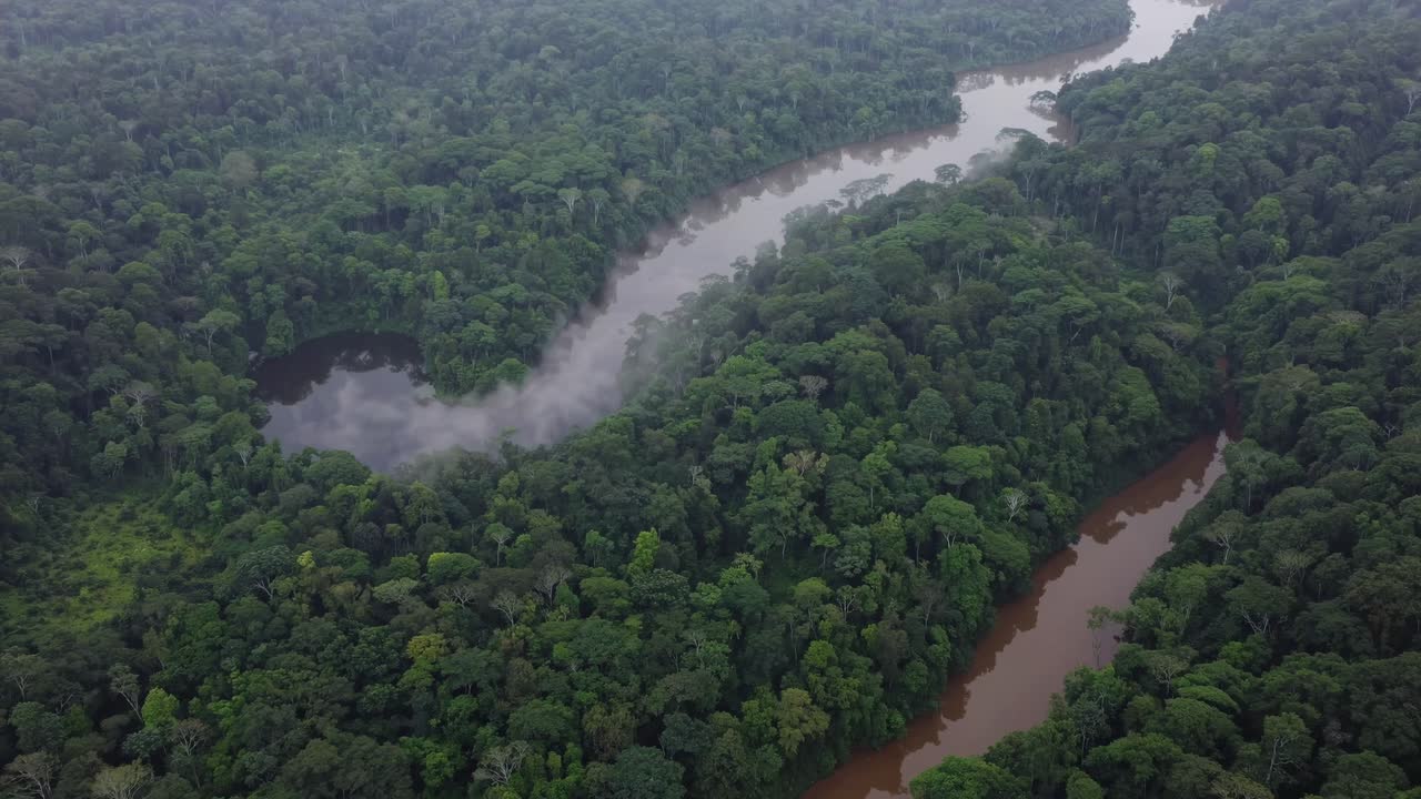 Aerial view of a winding river through dense rainforest, capturing lush greenery and mist