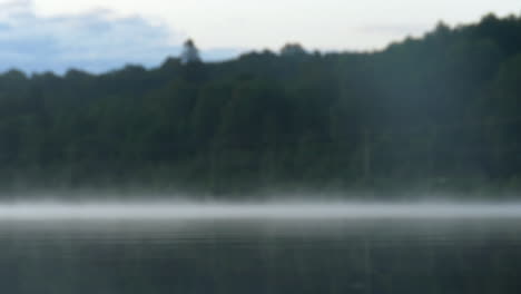 See-Neben-Einem-Dichten-Wald-Mit-Morgen