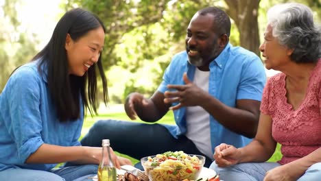 joyful moments shared: a multigenerational gathering in a lush park with delicious food and laughter among friends and family
