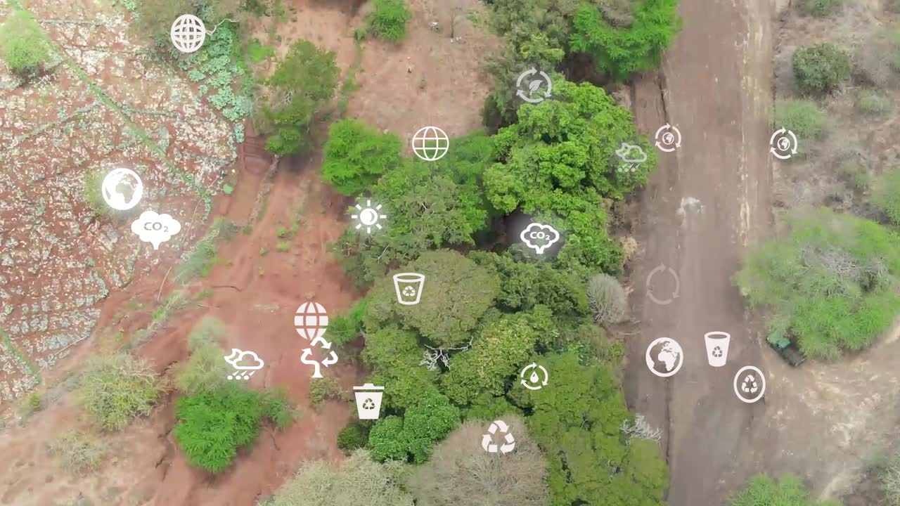 vista aérea futurista de drones de la cobertura forestal