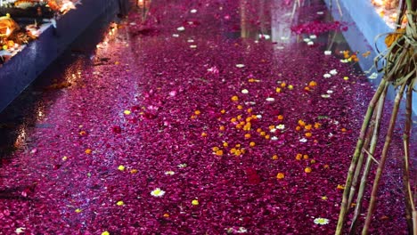 holy pond covered with rose petals for celebrating chhath festival at morning
