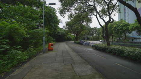 empty mossy sidewalk concrete block walking path and bike path next to road, shaded by trees