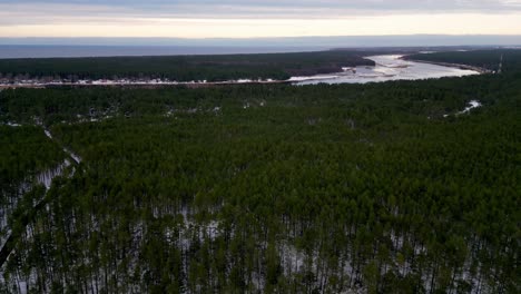 Vista-Aérea-De-Un-Denso-Bosque-Con-Un-Sinuoso-Río-Serpenteando-En-El-Fondo