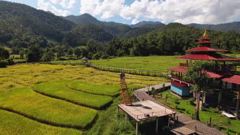 video de avión no tripulado de 4k que rodea a una pareja que está de pie en la parte superior de una escalera a lo largo del puente de bambú en pai, norte de tailandia