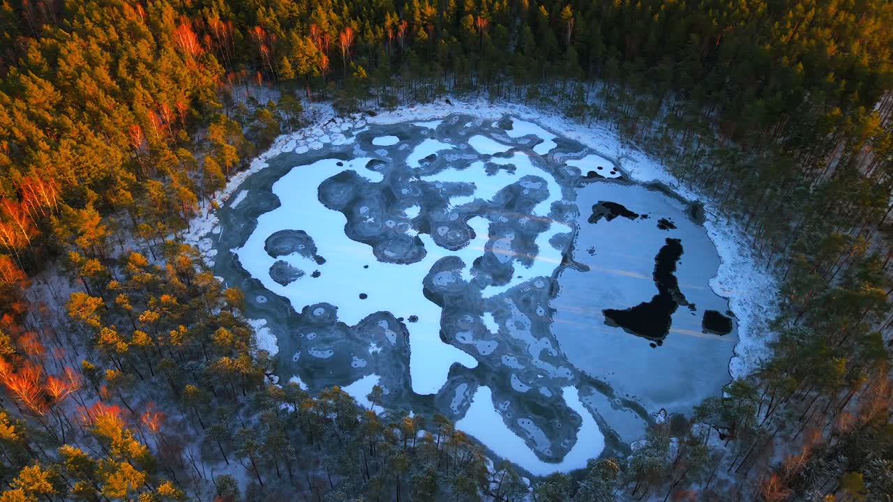 Polish forest clearing, frosty icy weather scene, aerial orbiting view