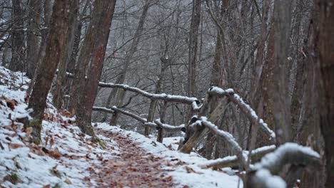 Light-snow-falling-on-hiking-trail-through-the-woods,-slow-motion