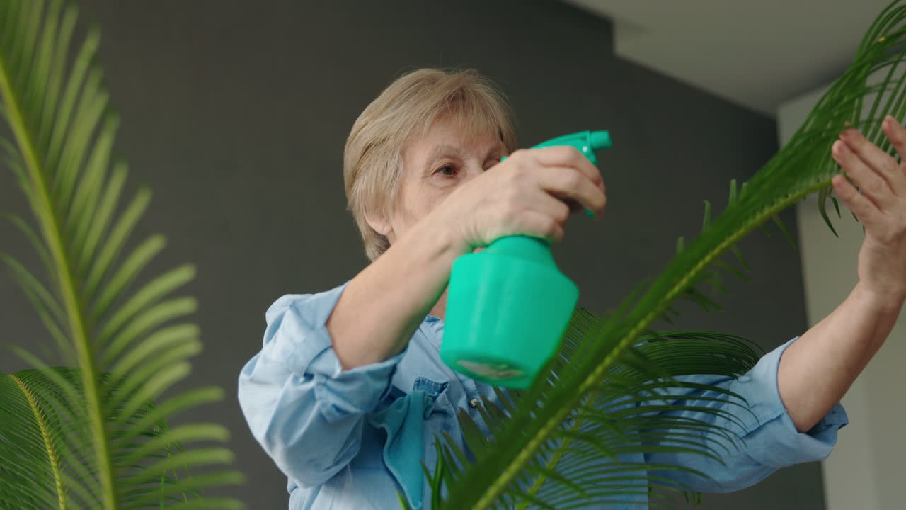 Senior Woman Watering Indoor Palm Plant