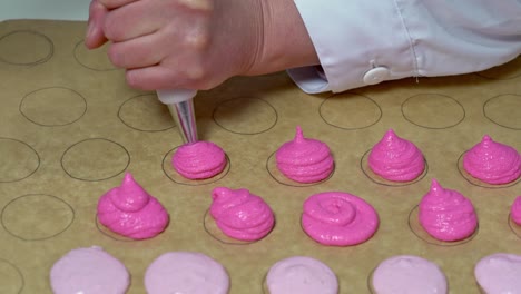 baker using a pastry bag to fill out circular shapes on parchment paper with a different colored shade of pink batter. making of macarons.