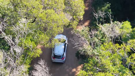 drone captures a car driving on a dirt road surrounded by dense rainforest, highlighting natural beauty and exploration