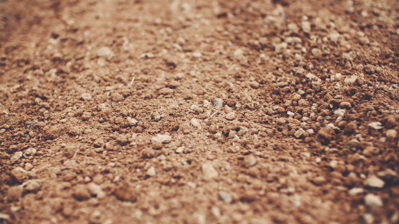 Fresh Cultivated Land Cultivated Field Soil