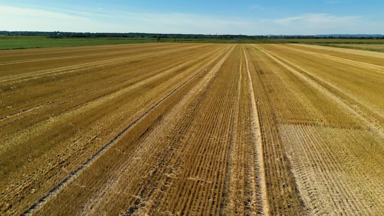 Frisch gemähte gelbgoldene Felder im Hochsommer