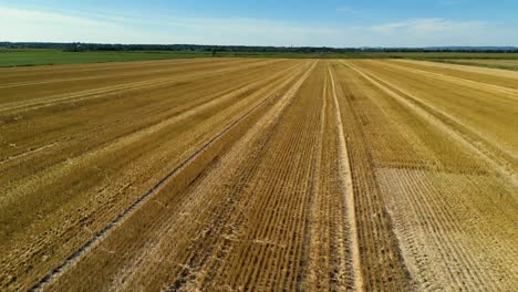 Campos-De-Agricultores-De-Oro-Amarillo-Recién-Cortados-En-Pleno-Verano