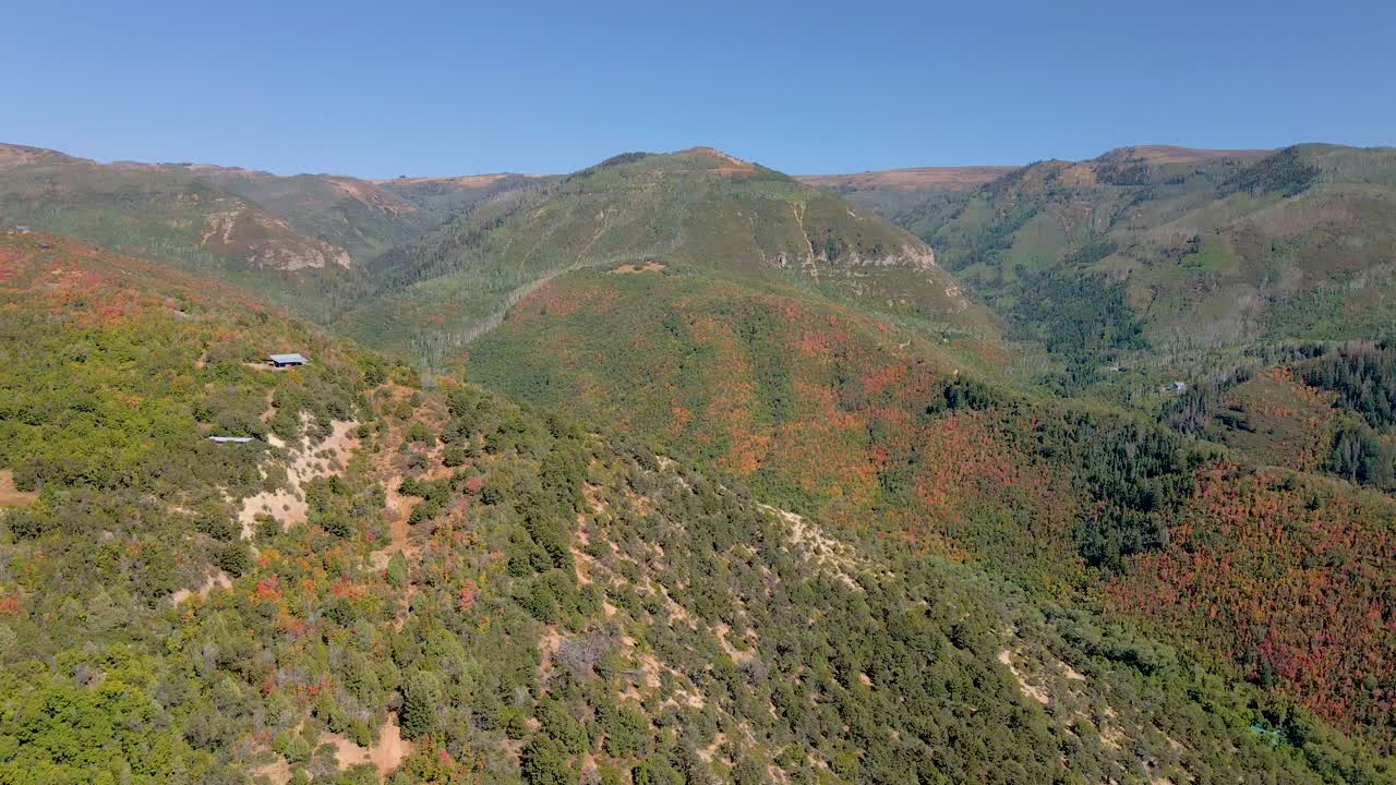 colores de otoño en el bosque montañoso de utah, hojas naranjas otoñales, vista aérea