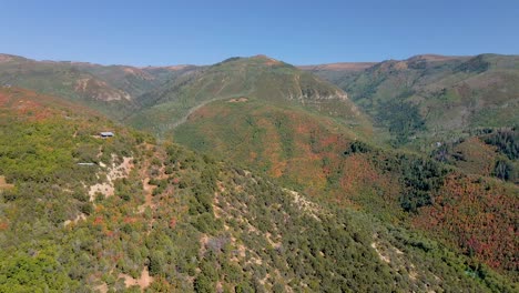 Fall-colours-on-Utah-mountain-forest,-Autumnal-orange-leaves,-aerial-view