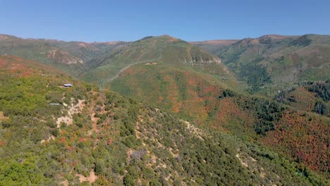 colores de otoño en el bosque montañoso de utah, hojas naranjas otoñales, vista aérea
