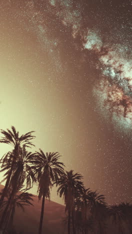 milky way over palm trees in the desert