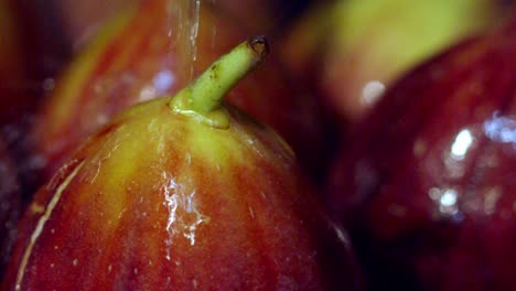 figs can be eaten fresh or dried, processed into jam, biscuits and desserts