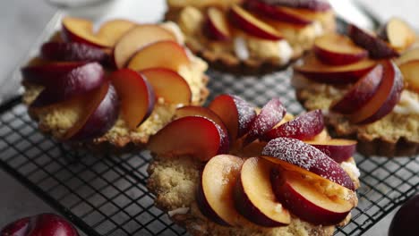 homemade crumble tarts with fresh plum slices placed on iron baking grill