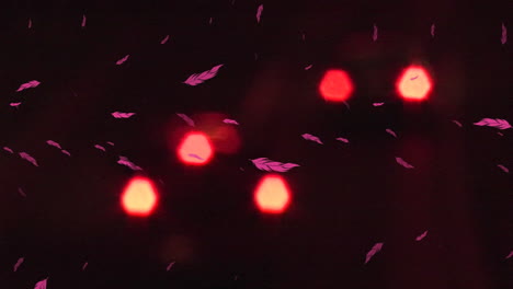 animación de plumas cayendo sobre el tráfico nocturno borroso de la ciudad