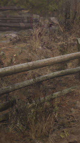 rustic wooden fence in a foggy woodland