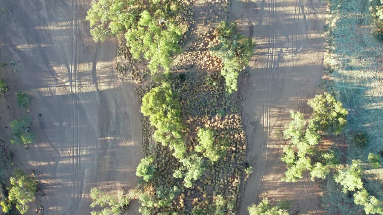 Vertical aerial footage of the dry Todd River, including trees, buffle grass, in Alice Springs, Mparntwe, Northern Territory, Australia. August 2022.