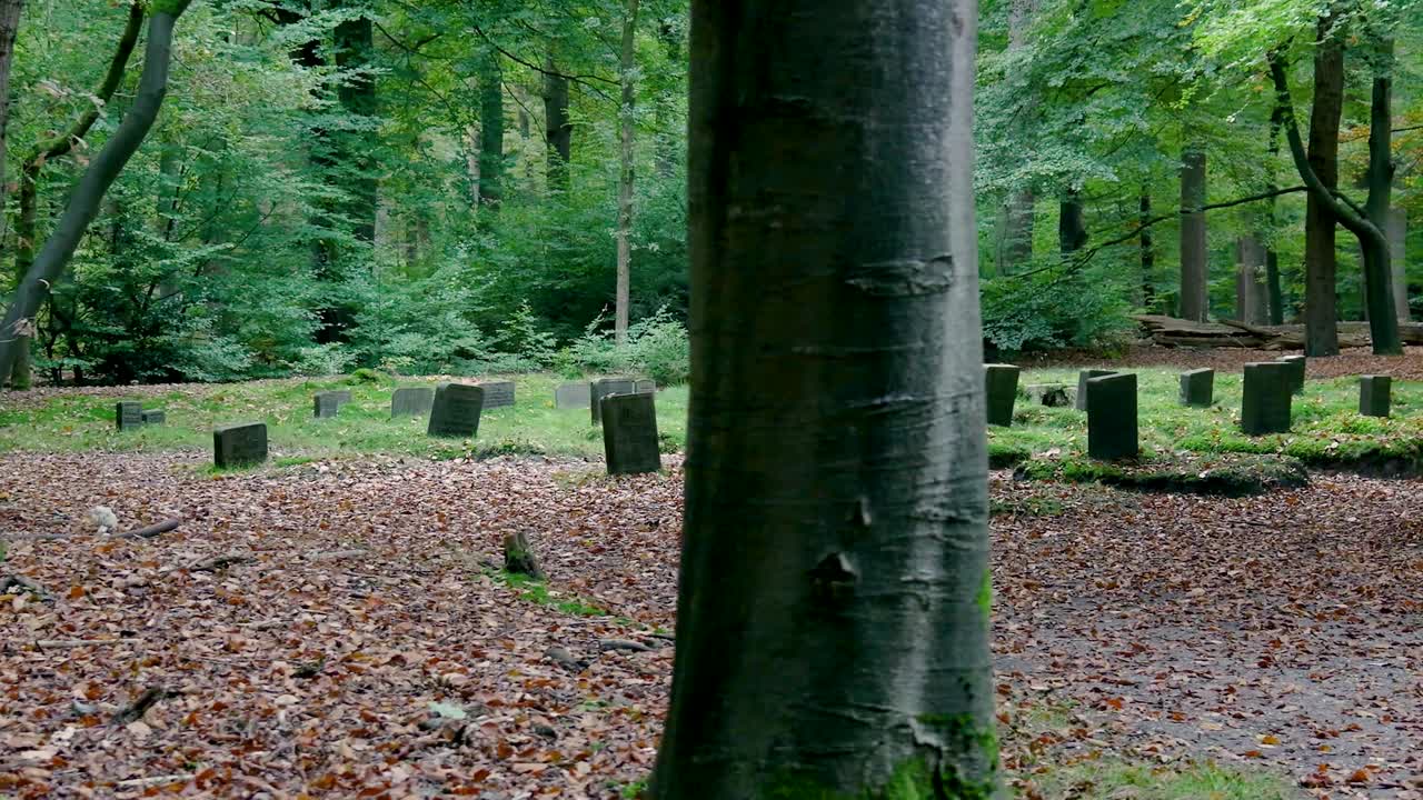 Cemetery in the Woods