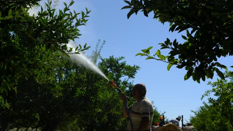 un granjero rociando un árbol de manzanas.