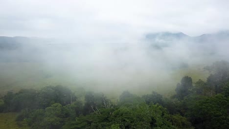 aerial shot of the misty sky over the rainforest of gabon, africa