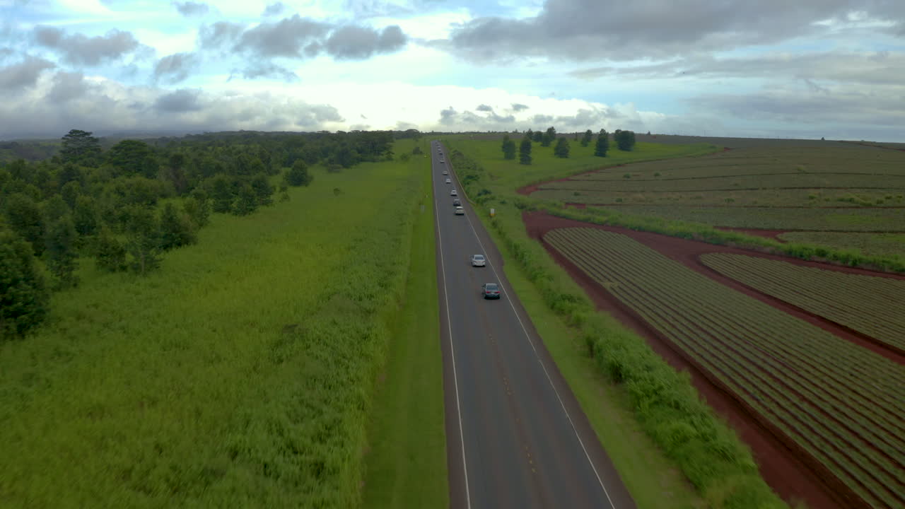 Aerial View of a Road Cutting Through Lush Green Fields and Pineapple Plantation