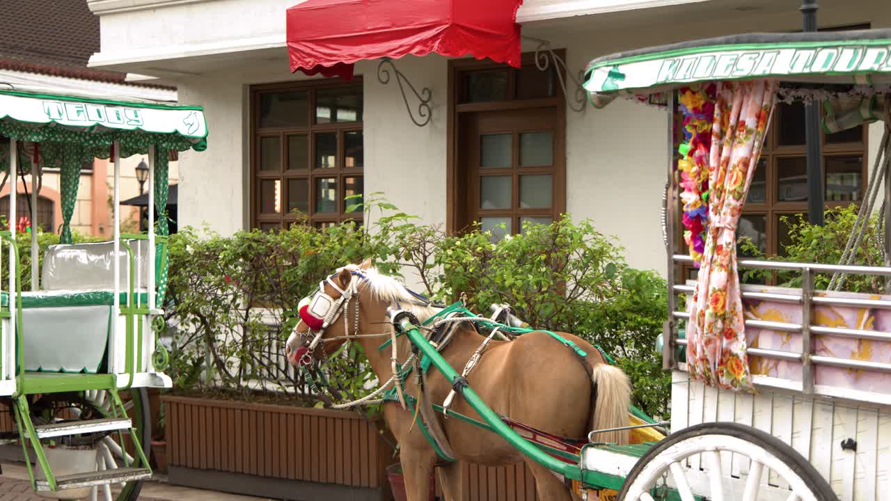 Un cheval alezan attelé à une calèche kalesa traditionnelle se tient immobile en plein jour.
