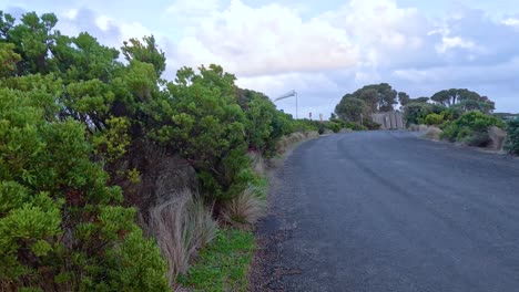 un viaje sereno a lo largo de una carretera sinuosa rodeada de exuberante vegetación y cielos abiertos, capturando la esencia de la gran carretera del océano