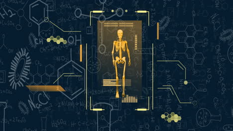 animation of science equations and skeleton walking on blue background