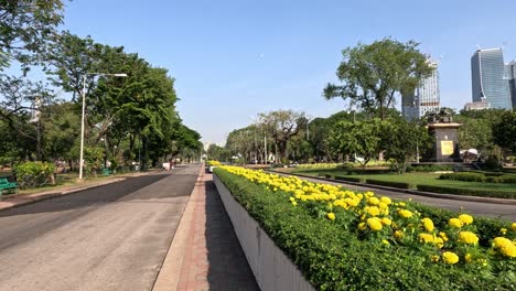 caminando por un camino rodeado de flores y árboles