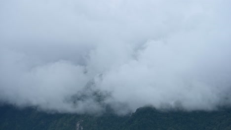 rolling clouds over rainforest timelapse, nepal time lapse de paisaje forestal con nubes moviéndose y levantándose de los árboles en las estribaciones del himalaya, fondo de la naturaleza con espacio de copia