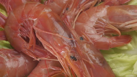 red argentinian shrimps sea food rotating on salad