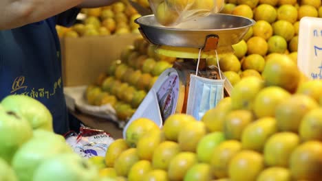 person handpicking oranges into a plastic bag