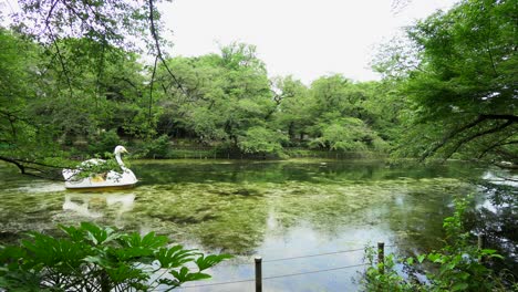 Kichijoji-Park-in-Tokyo,-Japan-fills-up-with-colors-in-summer