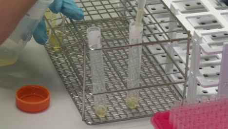 laboratory procedures with test tubes and pipettes