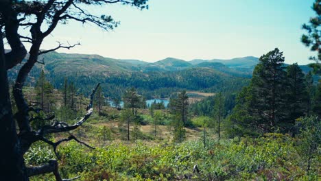 Blick-Auf-Berge-Und-See-Vom-Wald-Aus-In-Indre-Fosen,-Norwegen---Weitwinkelaufnahme