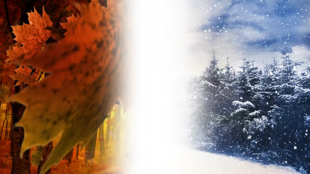 otoño e invierno en el campo