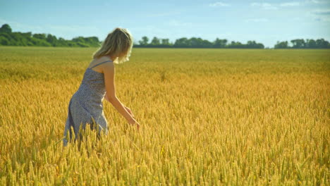 Woman-analyzing-wheat-stalk.-Woman-agronomist-in-wheat-field.-Enjoy-nature