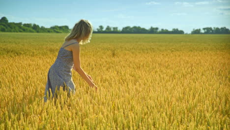 woman analyzing wheat stalk. woman agronomist in wheat field. enjoy nature