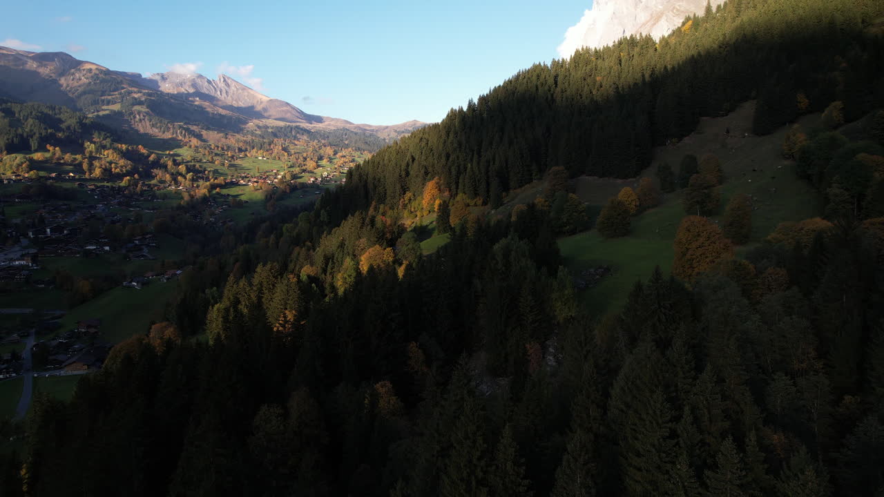 grindelwald, suiza: vista aérea sobre el bosque de pinos con colores de otoño en esta hermosa ciudad