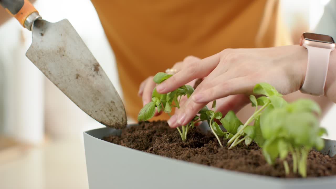 Asian couple wearing orange tops potting seedlings in box trowel pushing soil on counter for herbs
